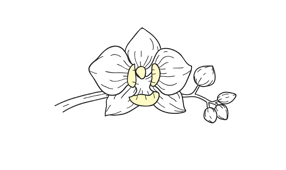 Lasting Impressions